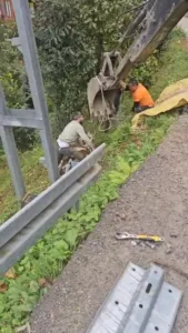 Rize’nin Çamlıhemşin ilçesinde yoldan aşağıya yuvarlanan inek bulunduğu yerden vinçle