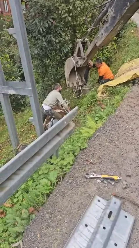 Rize’nin Çamlıhemşin ilçesinde yoldan aşağıya yuvarlanan inek bulunduğu yerden vinçle
