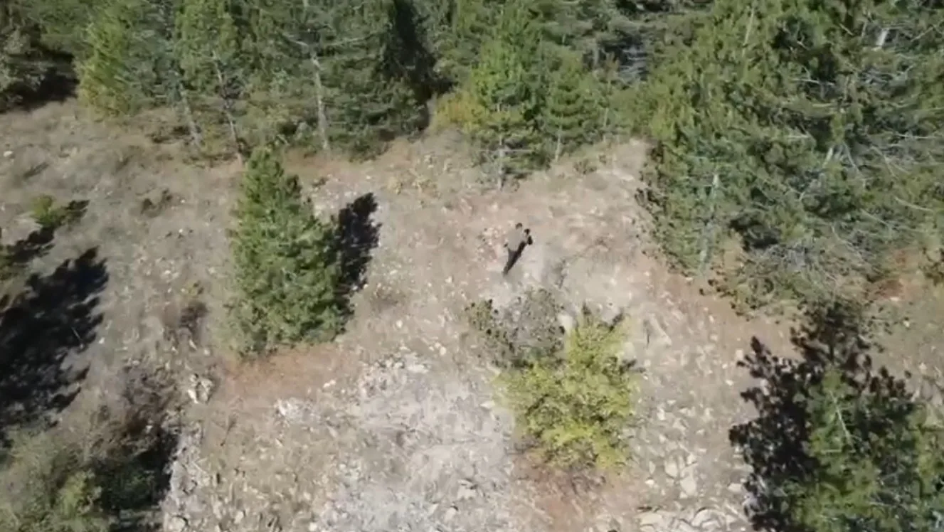 Isparta’nın Eğirdir ilçesinde Doğa Koruma ve Milli Parklar (DKMP) Şefliği,