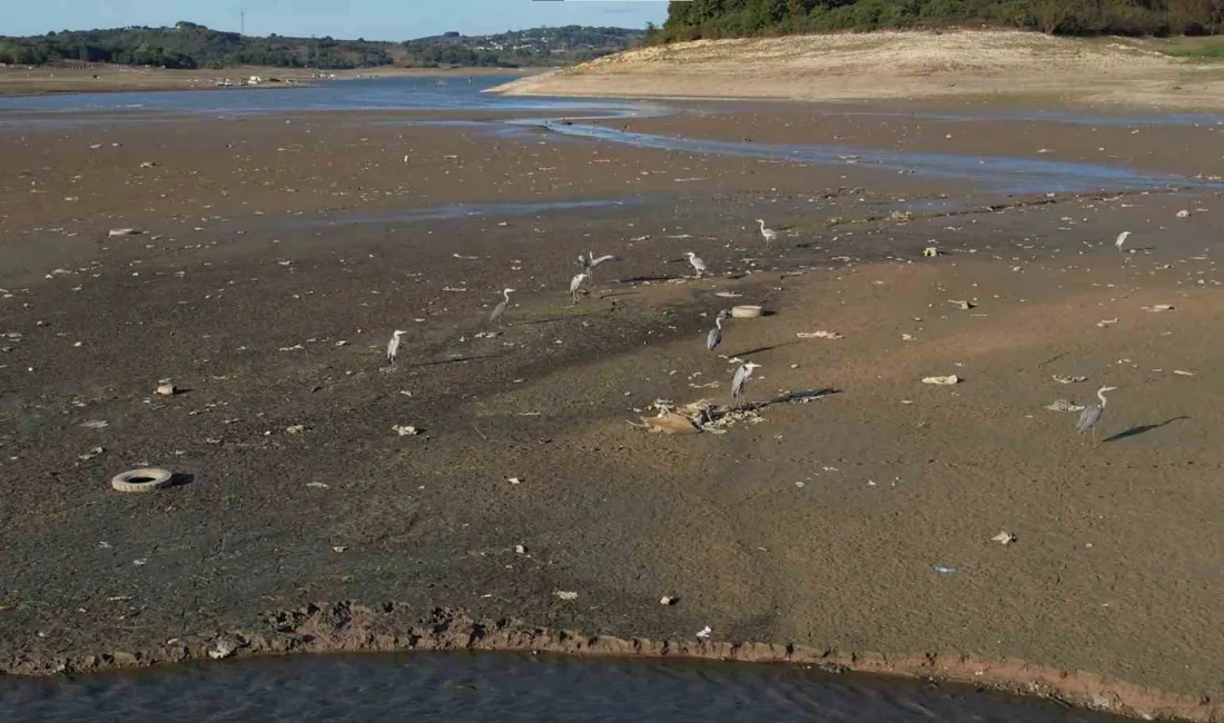 İstanbul’da barajlardaki su seviyesi alarm veriyor. İstanbul Su ve Kanalizasyon