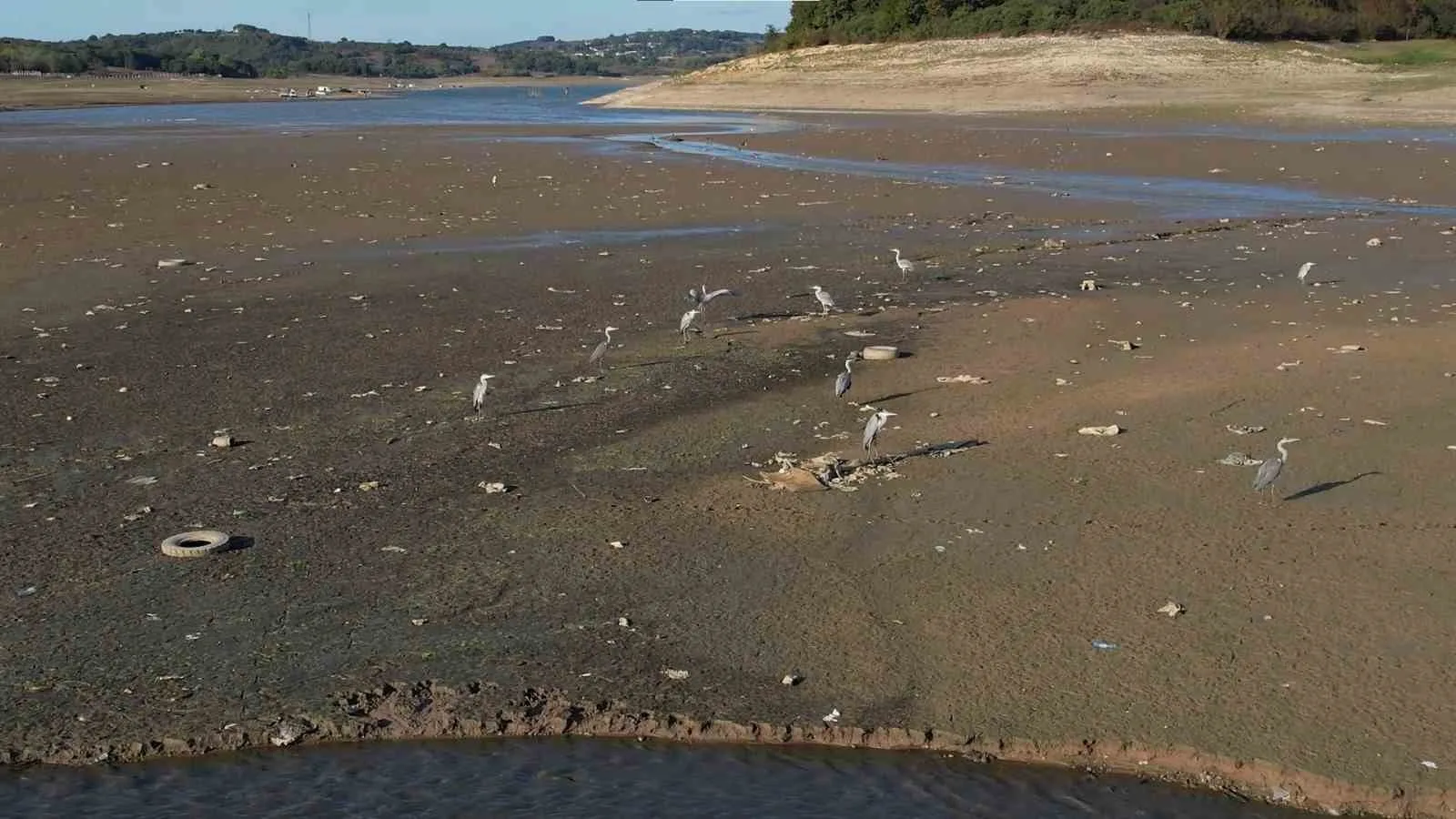 İstanbul’da barajlardaki su seviyesi alarm veriyor. İstanbul Su ve Kanalizasyon