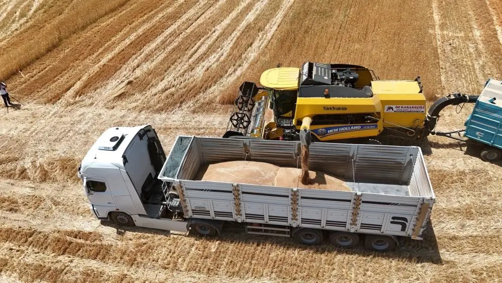 Türkiye Ürün İhtisas Borsası (TÜRİB) Elektronik Ürün Senedi (ELÜS) piyasasında