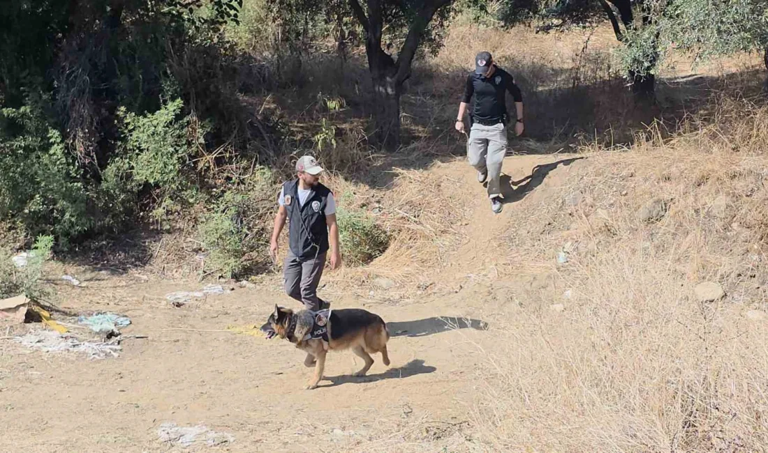 İzmir’in Tire ilçesinde bir kadının evlilik dışı dünyaya gelen bebeğini