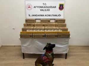 Afyonkarahisar’da jandarma tarafından durdurulan bir yolcu otobüsünde 10 bin adet
