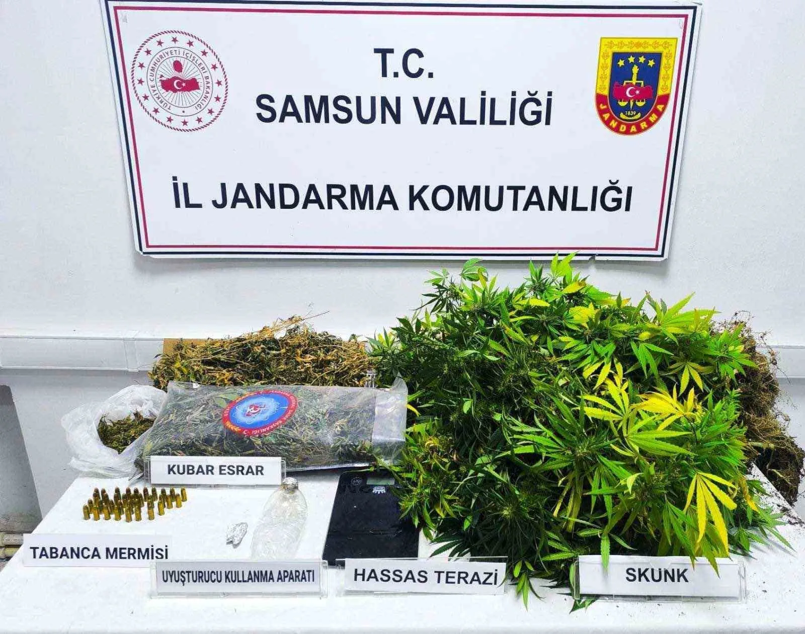 Samsun’un Çarşamba ilçesinde jandarma ekipleri tarafından bir evin deposuna yapılan