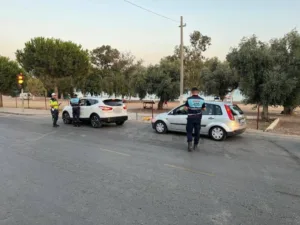 Aydın’da jandarma ekipleri iki gün süren çalışmalarda 30 aranan şahsı