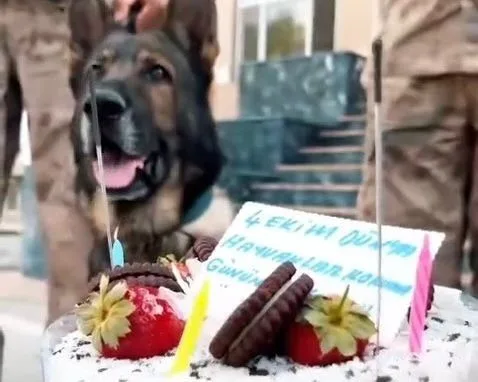 Van İl Jandarma Komutanlığı, 4 Ekim Dünya Hayvanları Koruma Günü