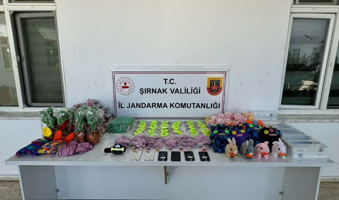 Şırnak İl Jandarma Komutanlığı ekipleri il merkezi ve 6 ilçesinde