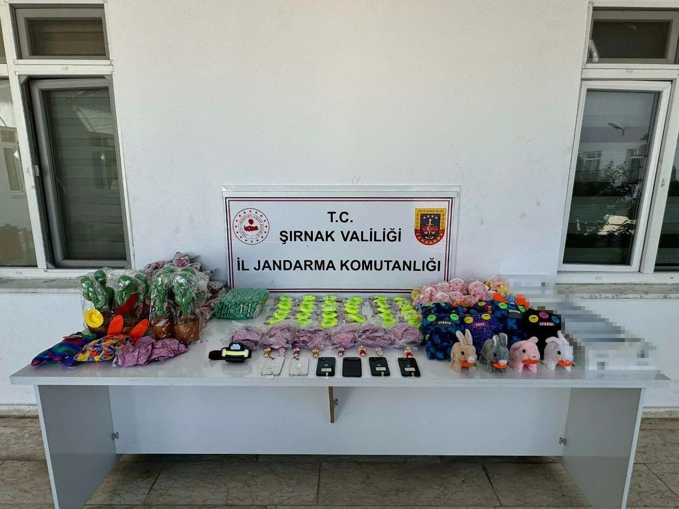 Şırnak İl Jandarma Komutanlığı ekipleri il merkezi ve 6 ilçesinde