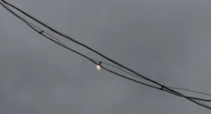 Düzce’de yağış sebebiyle elektrik kablolarında çıkan kıvılcım itfaiye ekiplerini harekete