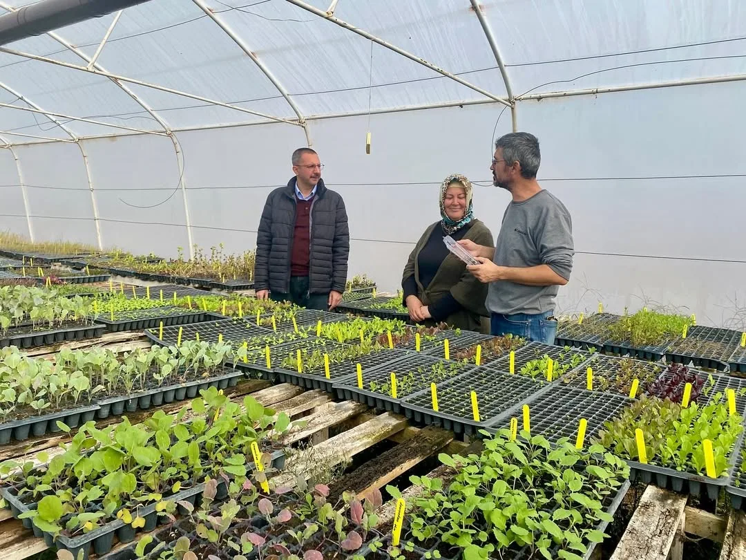 Pınarhisar Kaymakamı Enver Özderin, Ataköy köyünde üretim yapan kadın çiftçilerin