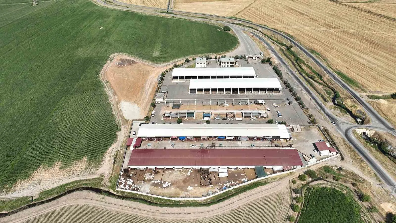 Kahramanmaraş Büyükşehir Belediyesi, şap hastalığı nedeniyle geçici olarak kapatılan canlı