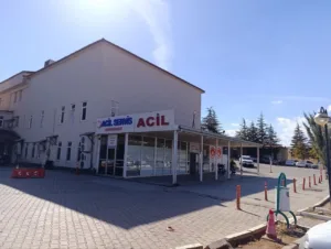 Kahramanmaraş’ın Afşin ilçesinde arının soktuğu 9 yaşındaki kız çocuğu kaldırıldığı