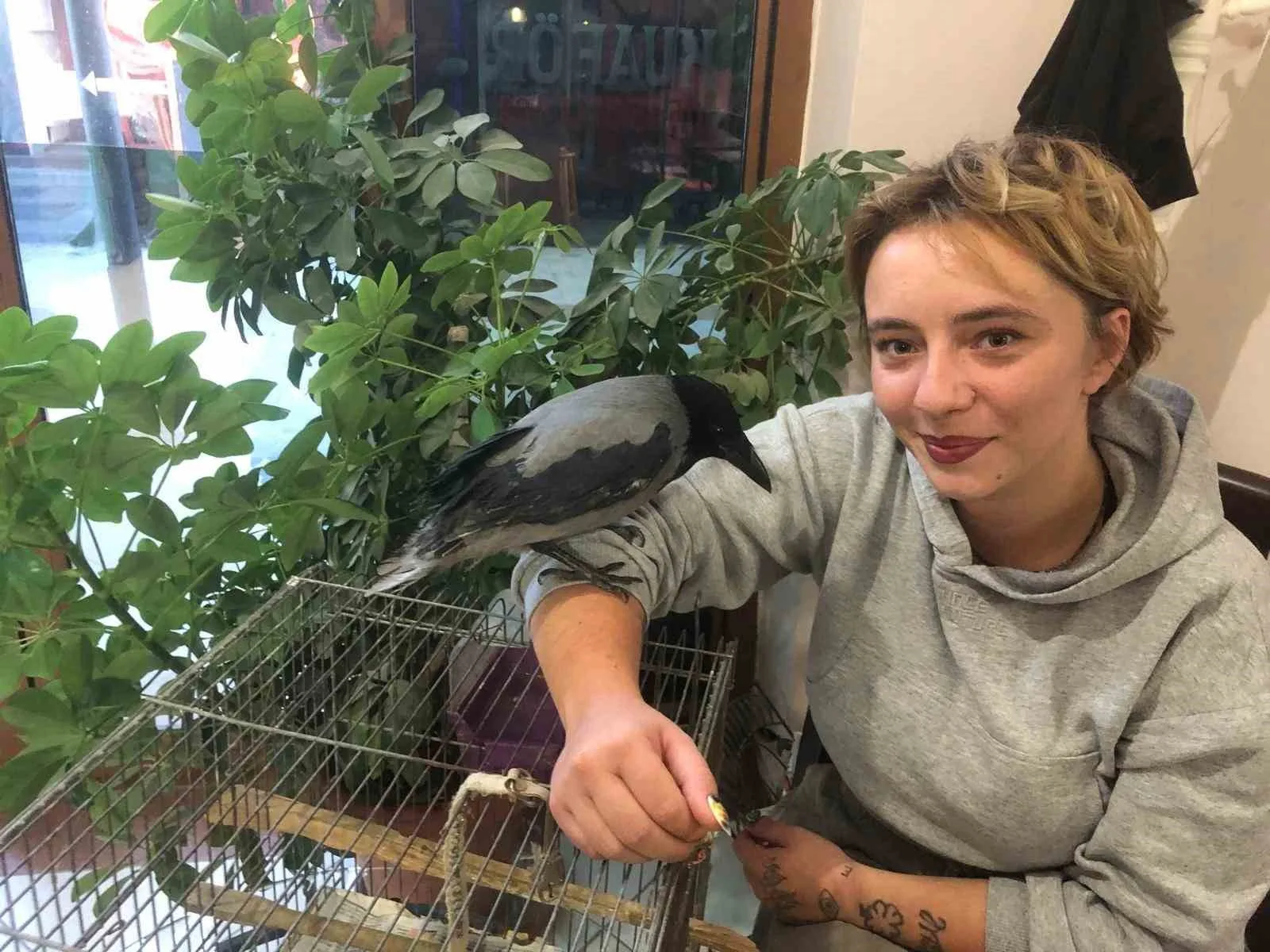 Muğla’nın Datça ilçesinde 3 ay önce tedavi edilen karga, mahallenin