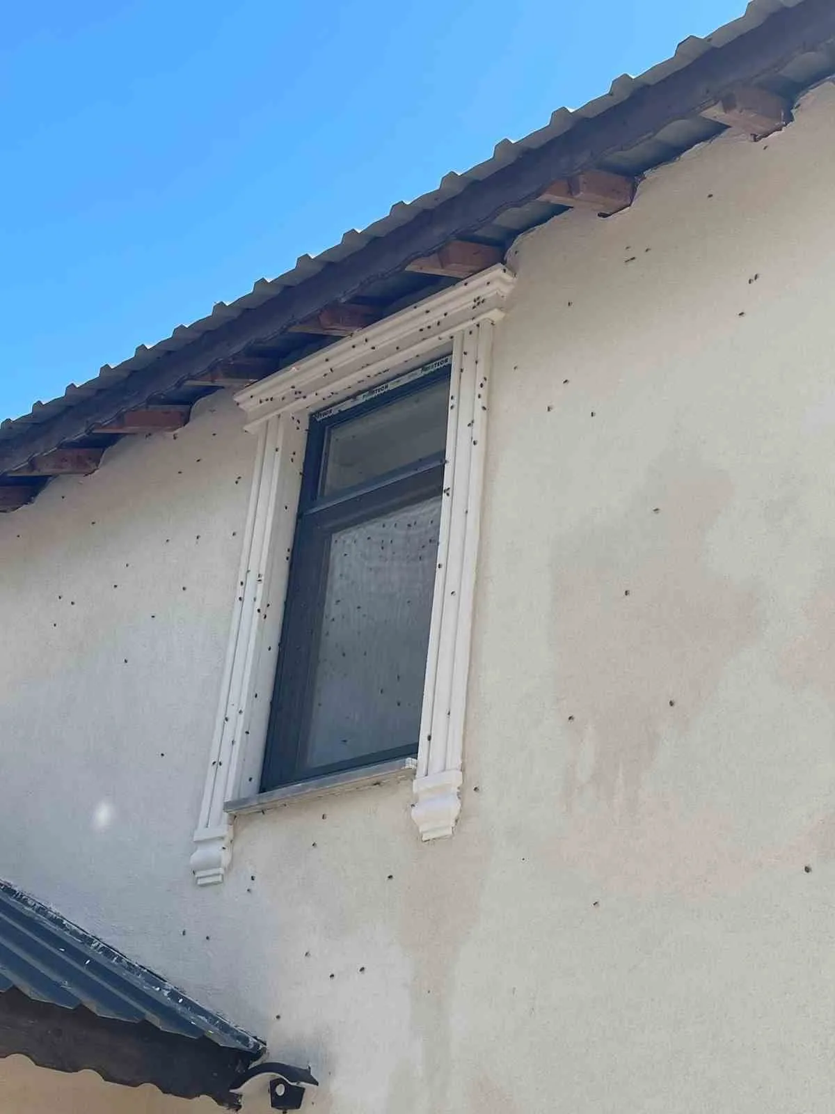 SAKARYA (İHA) – Türkiye’de ilk olarak 2017 yılında Artvin ile