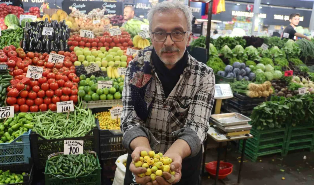 Sivas’ta dalından tek tek toplanan kalp dostu ve şifa deposu