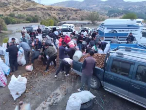 Siirt’in Baykan ilçesinde patates yüklü bir kamyonet arıza yapınca, sürücüsü