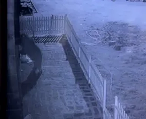 Rize’de kapısının sürekli zorlandığını fark eden vatandaş, evinin cephesine kapıyı