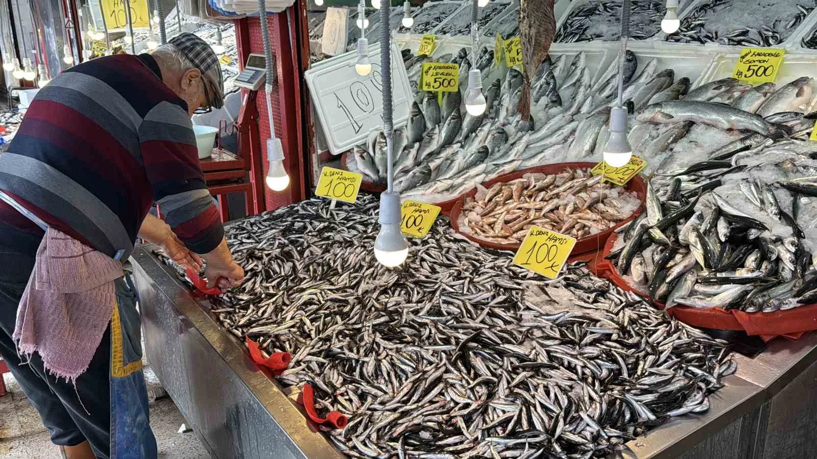 Havaların soğumasıyla birlikte Karadeniz’de bolca avlanan hamsi Karabük’teki tezgahlarda 100