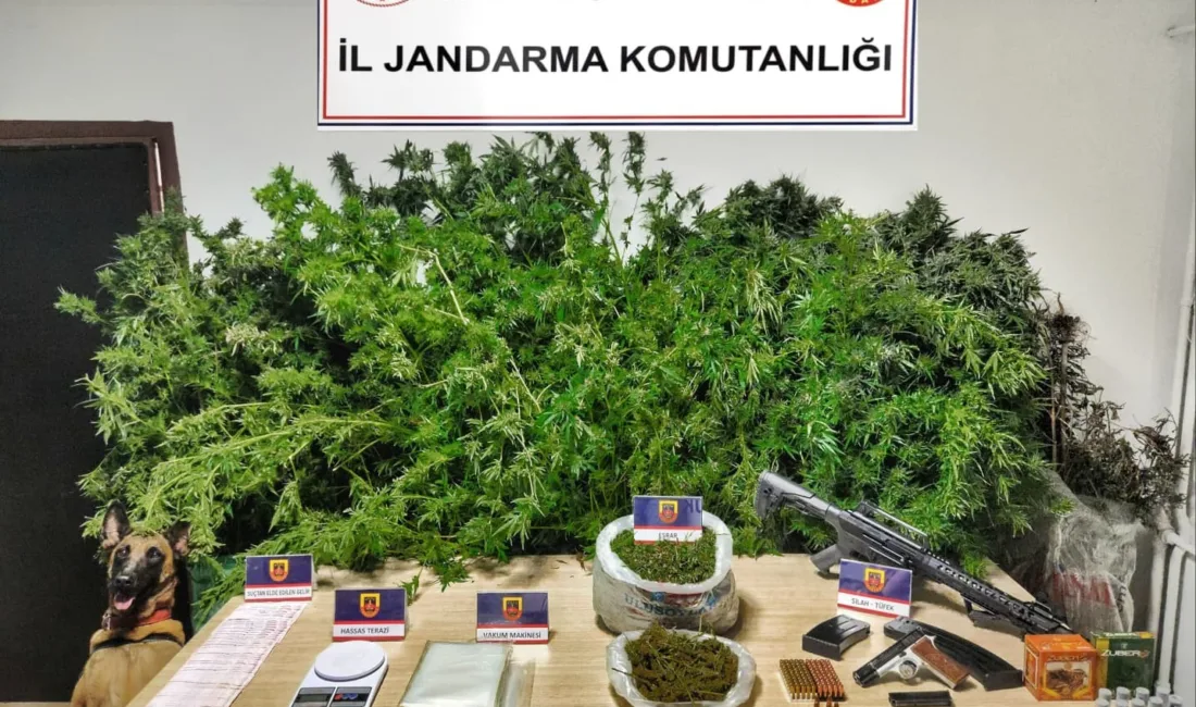 Karabük İl Jandarma Komutanlığı ekipleri tarafından Safranbolu ilçesinde düzenlenen operasyonda,