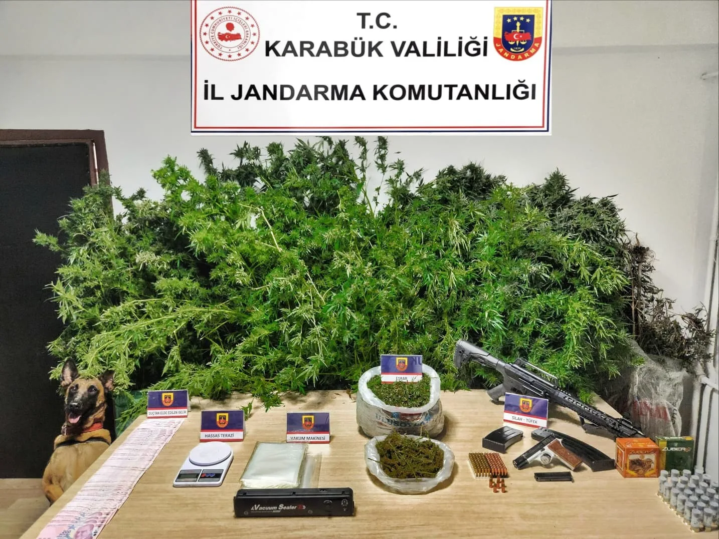 Karabük İl Jandarma Komutanlığı ekipleri tarafından Safranbolu ilçesinde düzenlenen operasyonda,