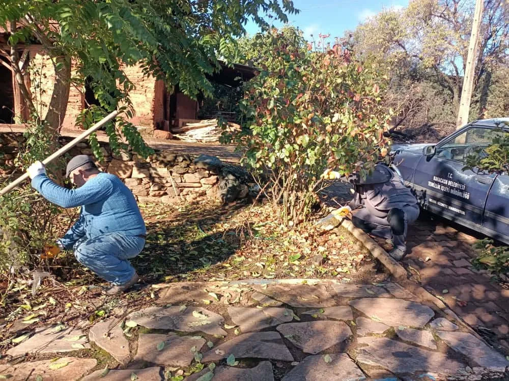 Aydın’ın Karacasu ilçesinde belediye ekipleri park ve bahçeleri bakıma aldı.