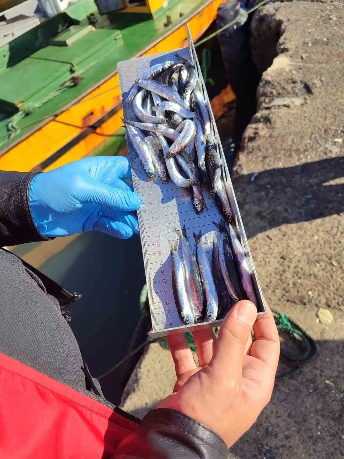 Kdz. Ereğli’de üç günlük denetimde 153 tekneye e-seyir onayı verildi,