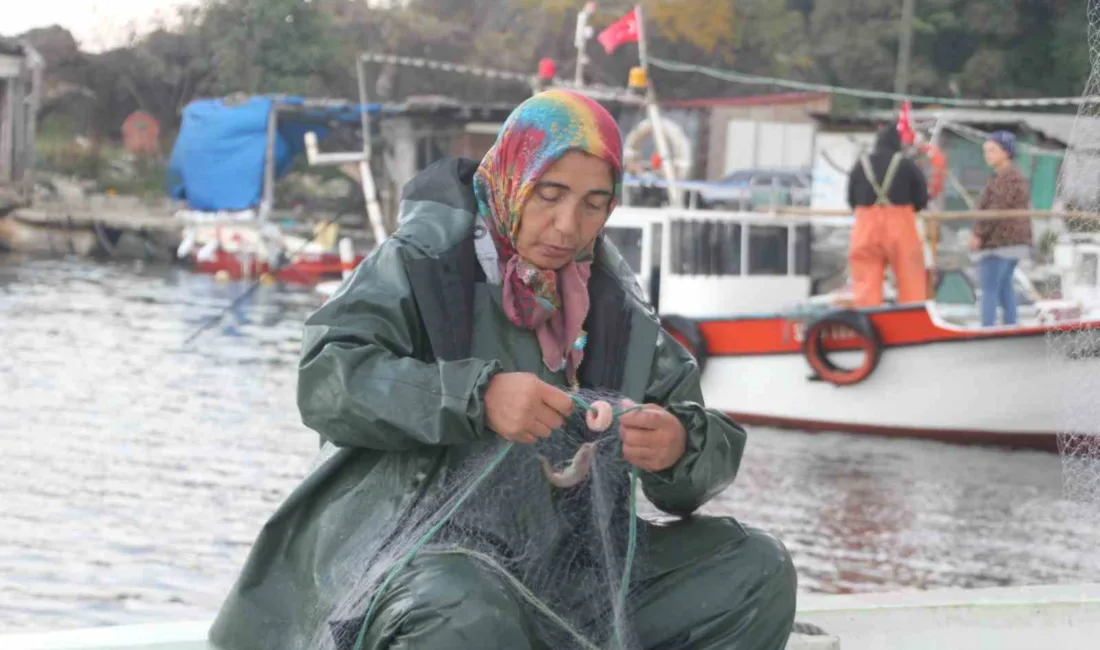 Karadeniz’in sayıları gittikçe azalan kadın balıkçıları, eşlerine yardım etmek için