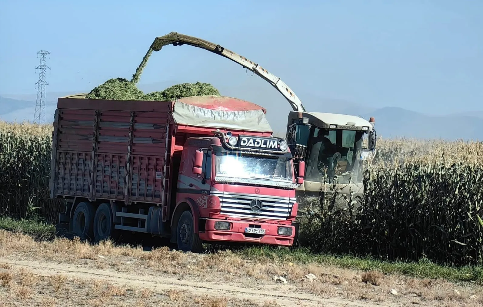 Konya’nın Karapınar ilçesinde mısır hasadı başladı. İlçede yapılan arazi incelemelerinde