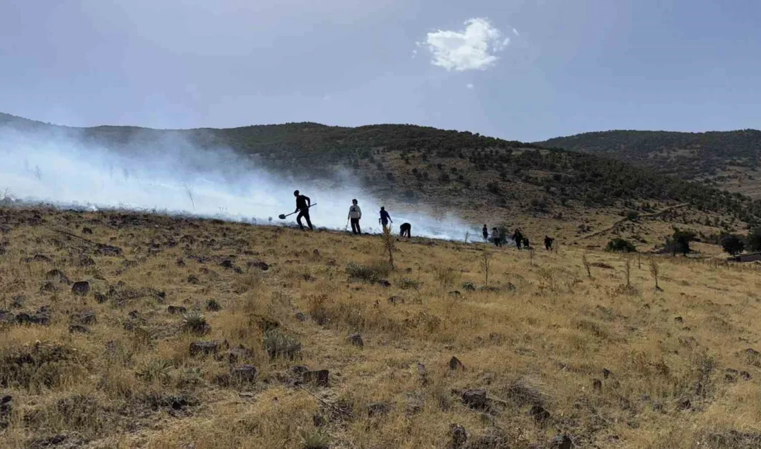 Konya’nın Karapınar ilçesine bağlı Yeşilyurt Mahallesi Sırçalı Mevkii’nde arazide çıkan