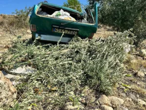 Manisa’nın Alaşehir ilçesinde, sürücüsünün direksiyon hakimiyetini kaybettiği otomobilin şarampole yuvarlanması