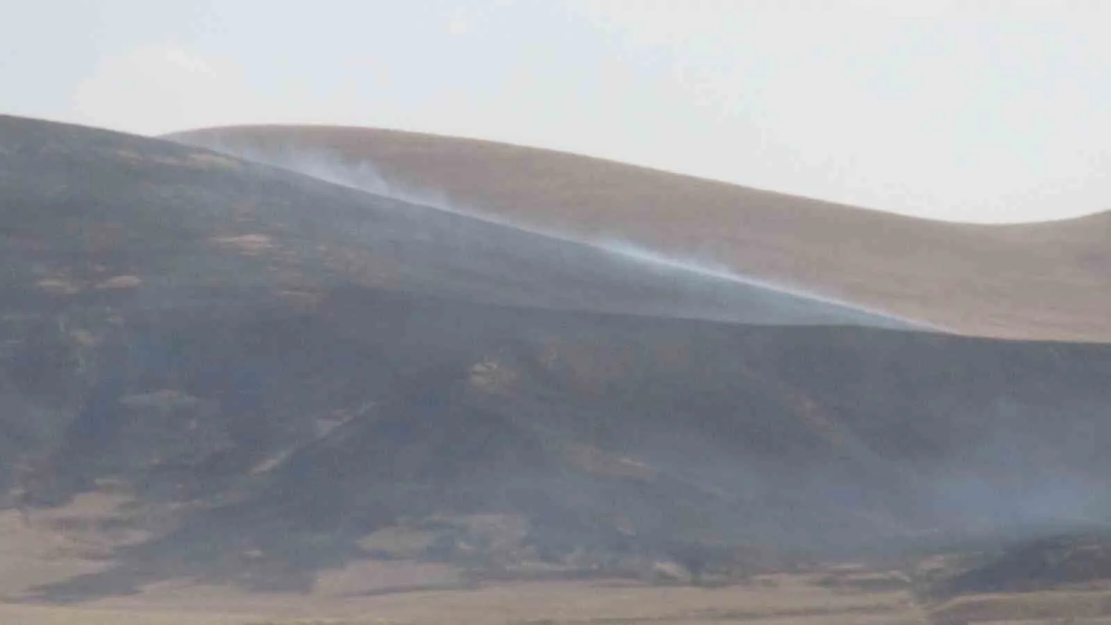Kars’ta bilinmeyen bir nedenden dolayı çıkan anız yangının da Akbaba