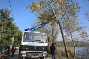 Kartepe Belediyesi Park ve Bahçeler Müdürlüğü ekipleri, ilçedeki yeşil alanlarda
