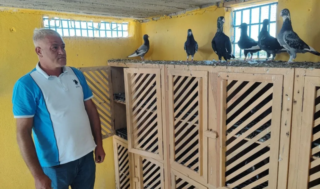 Adana’da kayıp iki güvercinini bulana daha önce 20 bin lira