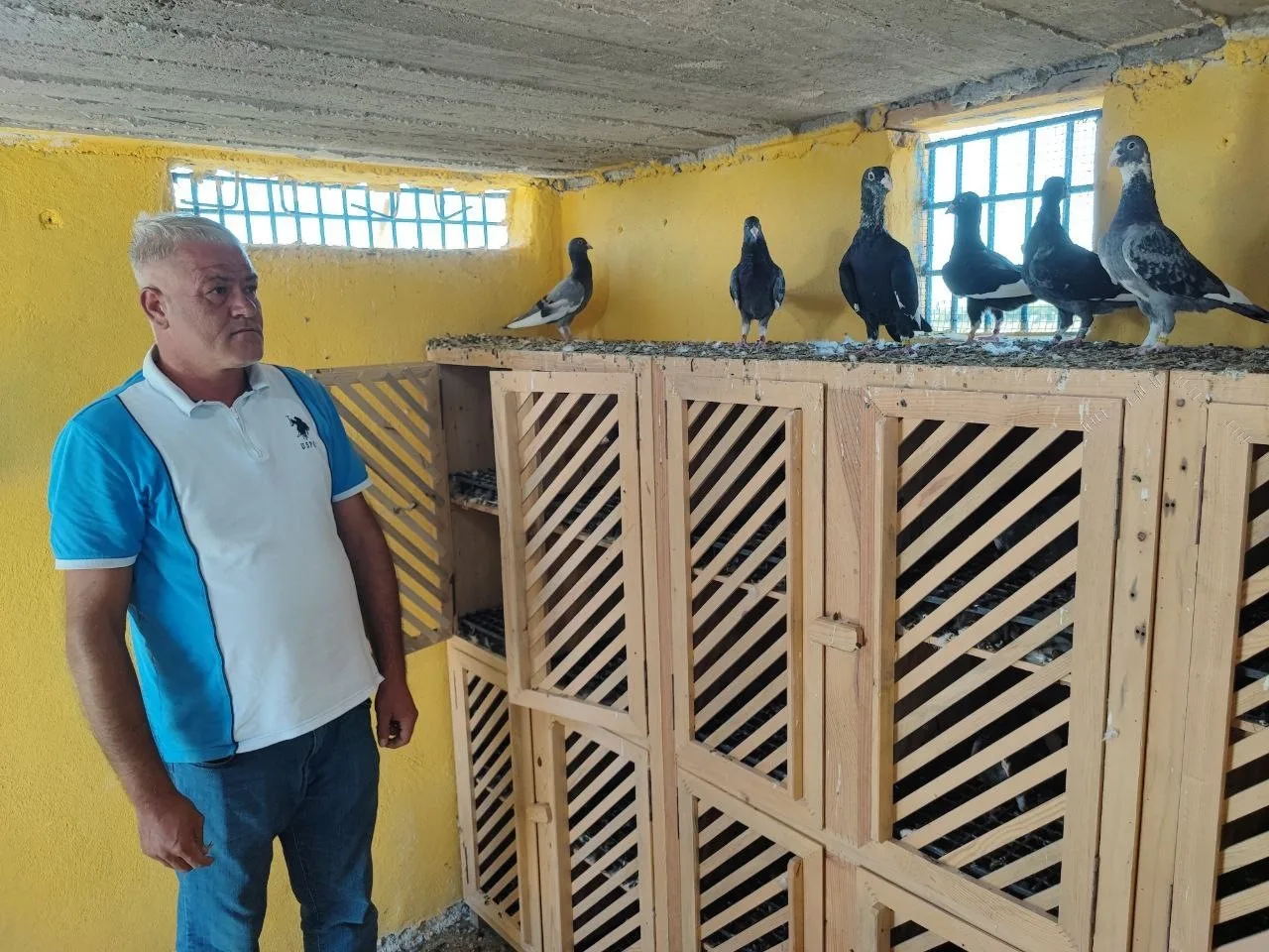 Adana’da kayıp iki güvercinini bulana daha önce 20 bin lira