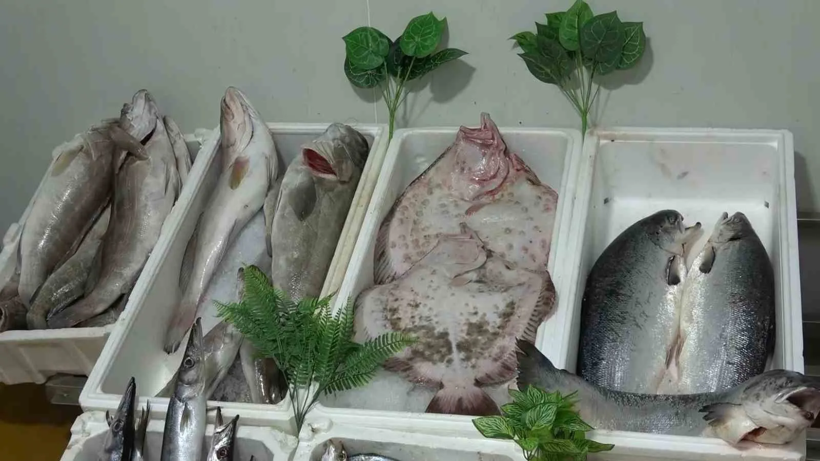 Gastronomi şehri Gaziantep’te yeni lezzetler arayan vatandaşların son yıllarda balığa