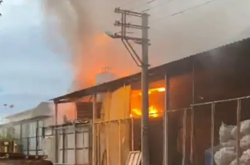 Denizli (İHA) –Denizli’nin Merkezefendi ilçesinde bulunan bir kereste deposunda çıkan