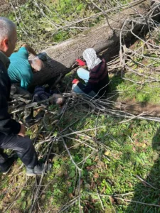 Sakarya’nın Karasu ilçesinde bir kişi, kestiği ağacın altında kalarak yaralandı.