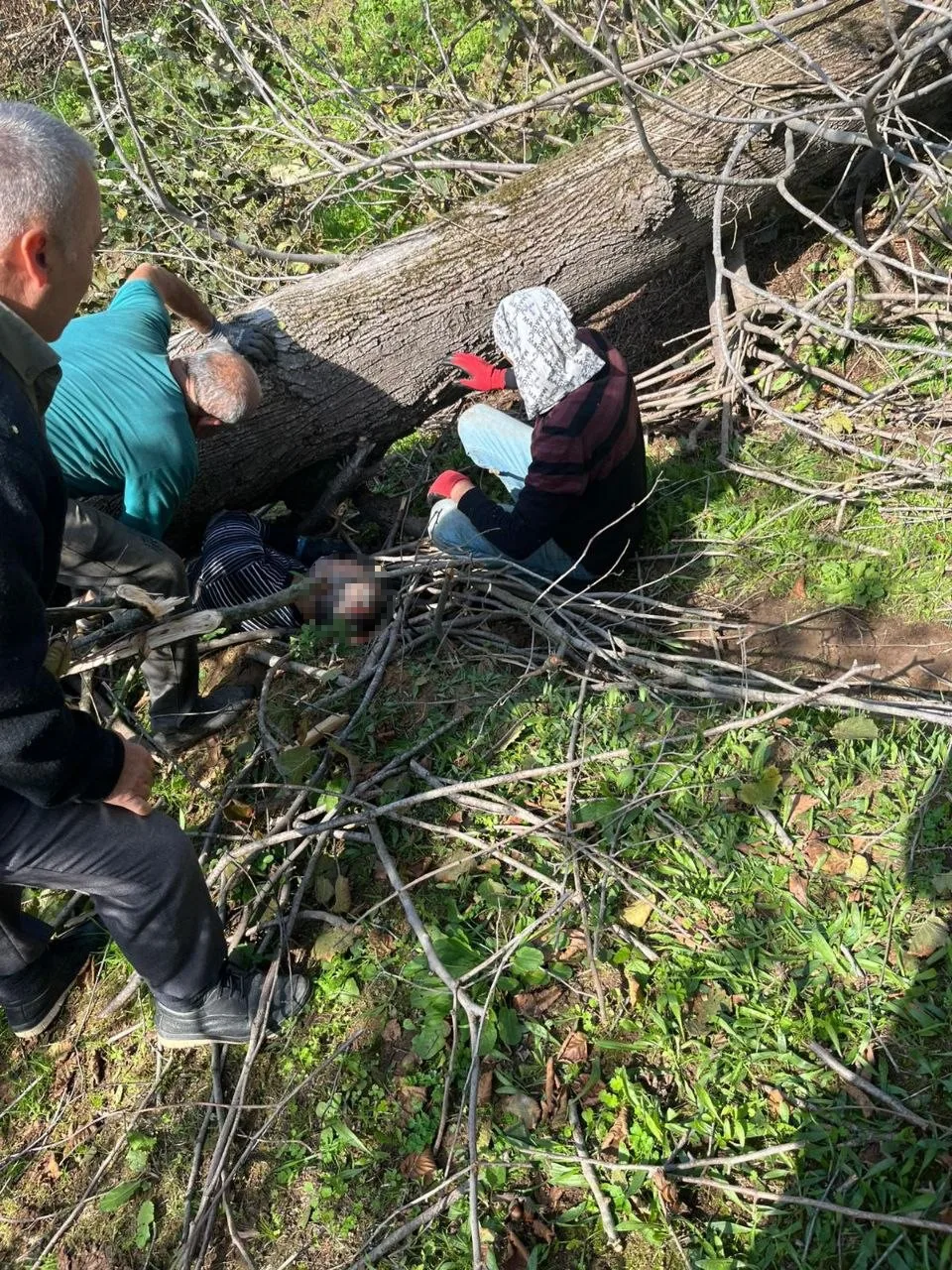 Sakarya’nın Karasu ilçesinde bir kişi, kestiği ağacın altında kalarak yaralandı.
