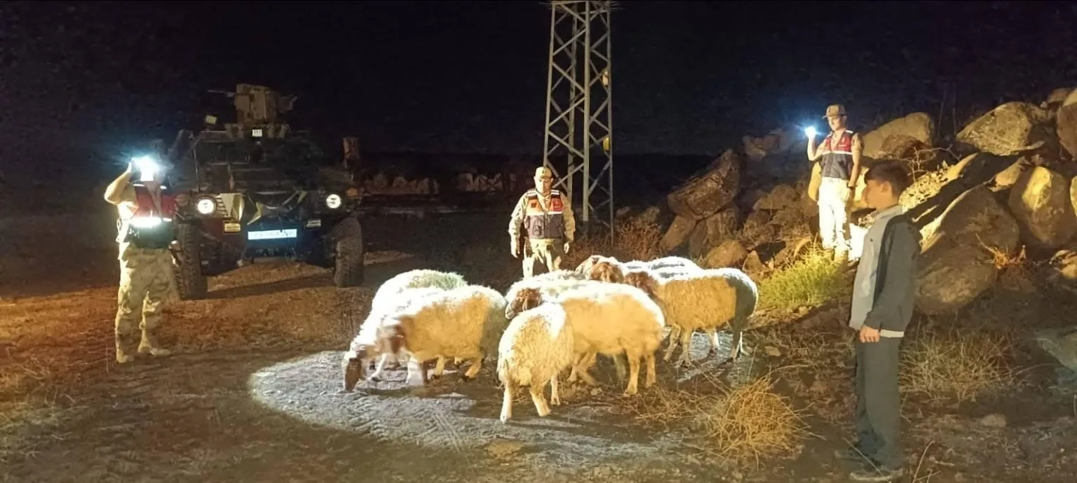 Kilis’in Elbeyli ilçesine bağlı Yenideğirmen köyünde kaybolan 11 koyun, İl