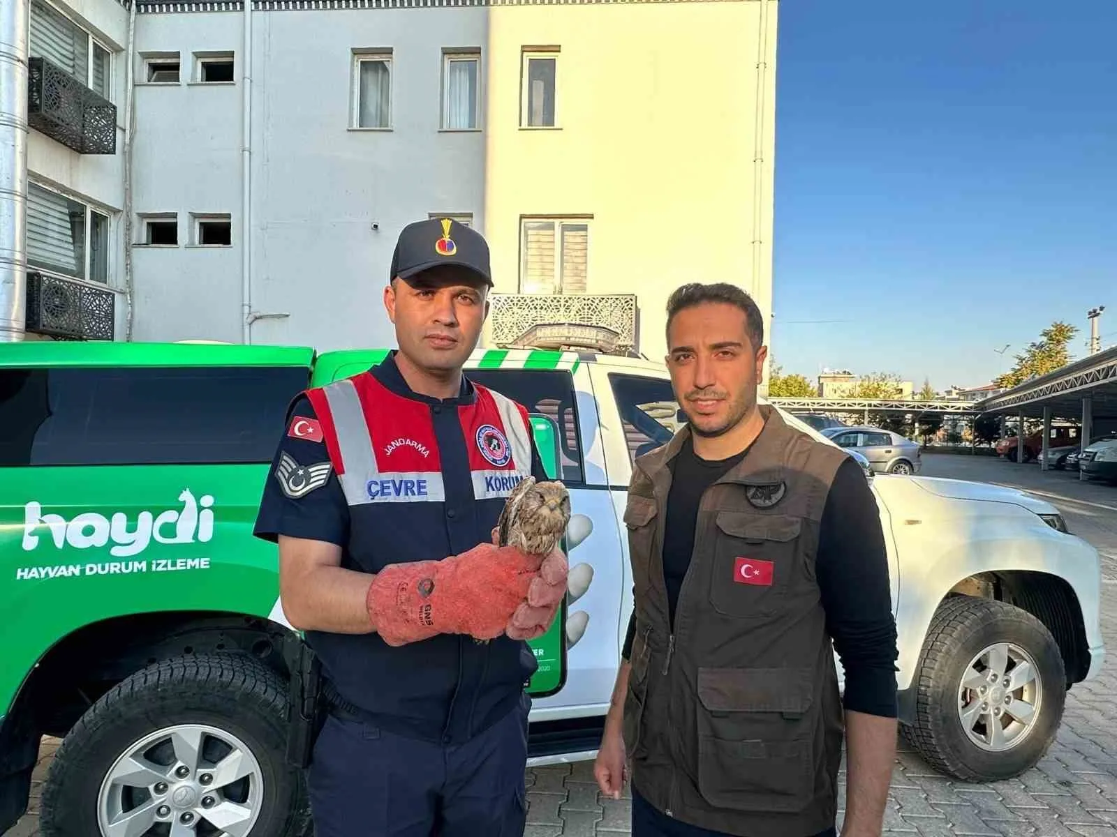 Kilis’in Polateli ilçesinde bir vatandaş tarafından yaralı halde bulunan kerkenez