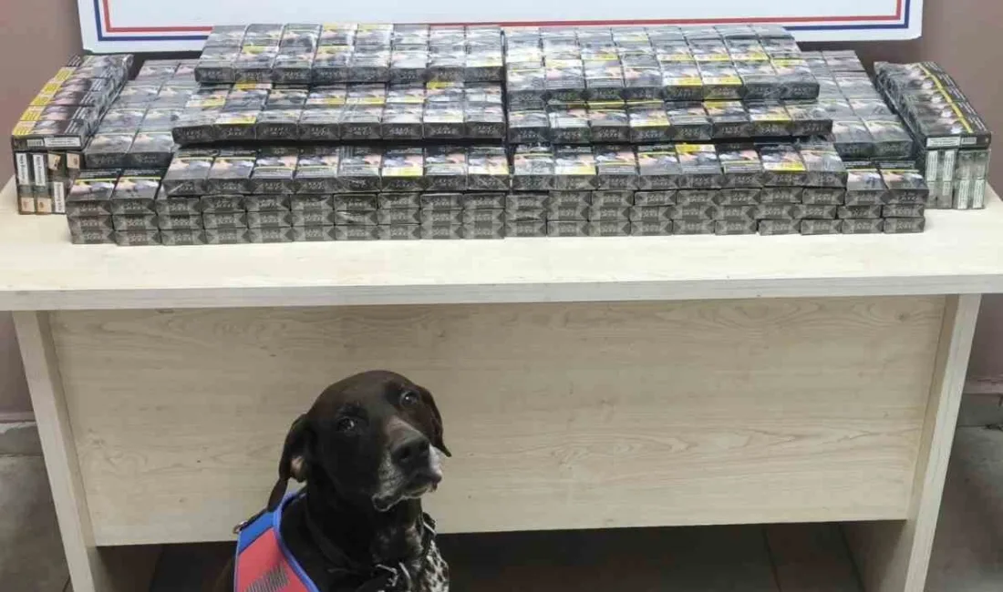 Kayseri’de jandarma ekipleri tarafından yapılan yol kontrol devriyesi esnasında kimlik