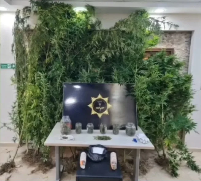 Kırklareli’nde polis ekiplerince düzenlenen uyuşturucu operasyonunda 2 şüpheli gözaltına alındı.