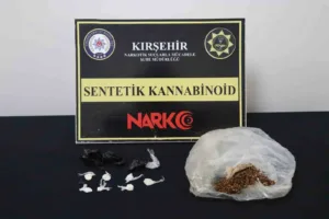 Kırşehir’de polis ekiplerince düzenlenen uyuşturucu operasyonunda 1 kişi tutuklandı. Edinilen