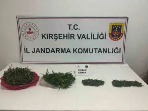 Kırşehir’de jandarma ekipleri tarafından yapılan çalışmalarda 2 bin 198 sentetik