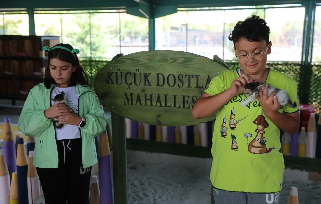 Kocasinan Belediyesi; sokak hayvanlarının yaşam kalitesini en üst seviyeye taşımak