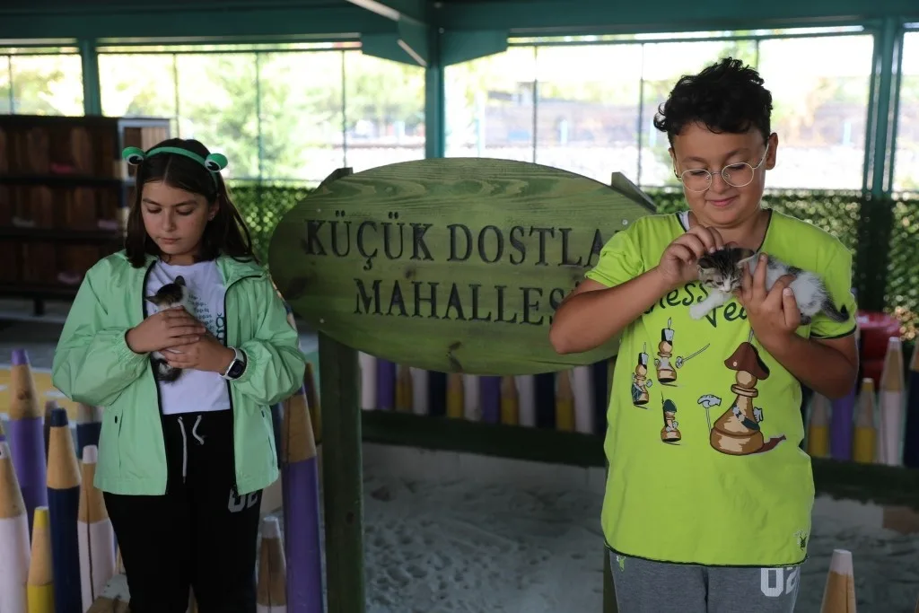 Kocasinan Belediyesi; sokak hayvanlarının yaşam kalitesini en üst seviyeye taşımak