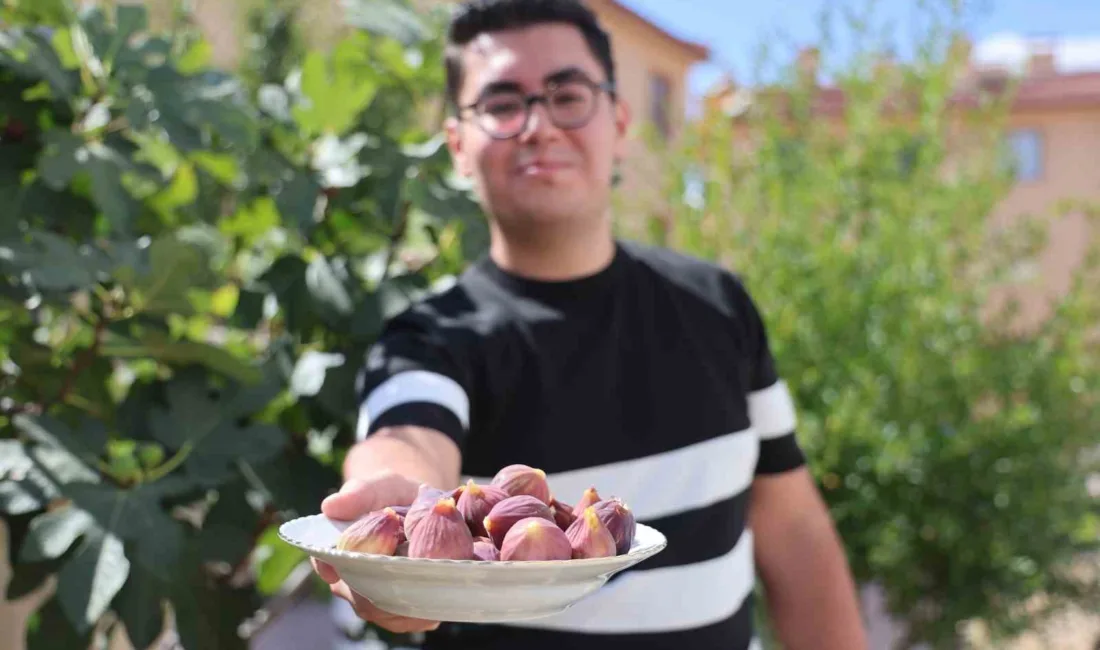Konya’da yaşayan üniversite öğrencisi genç, gezmeye gittiği Şanlıurfa’dan aldığı iki