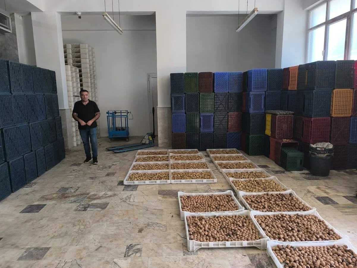 Köşk İlçe Tarım ve Orman Müdürlüğü ekipleri, kuru incir depolarında