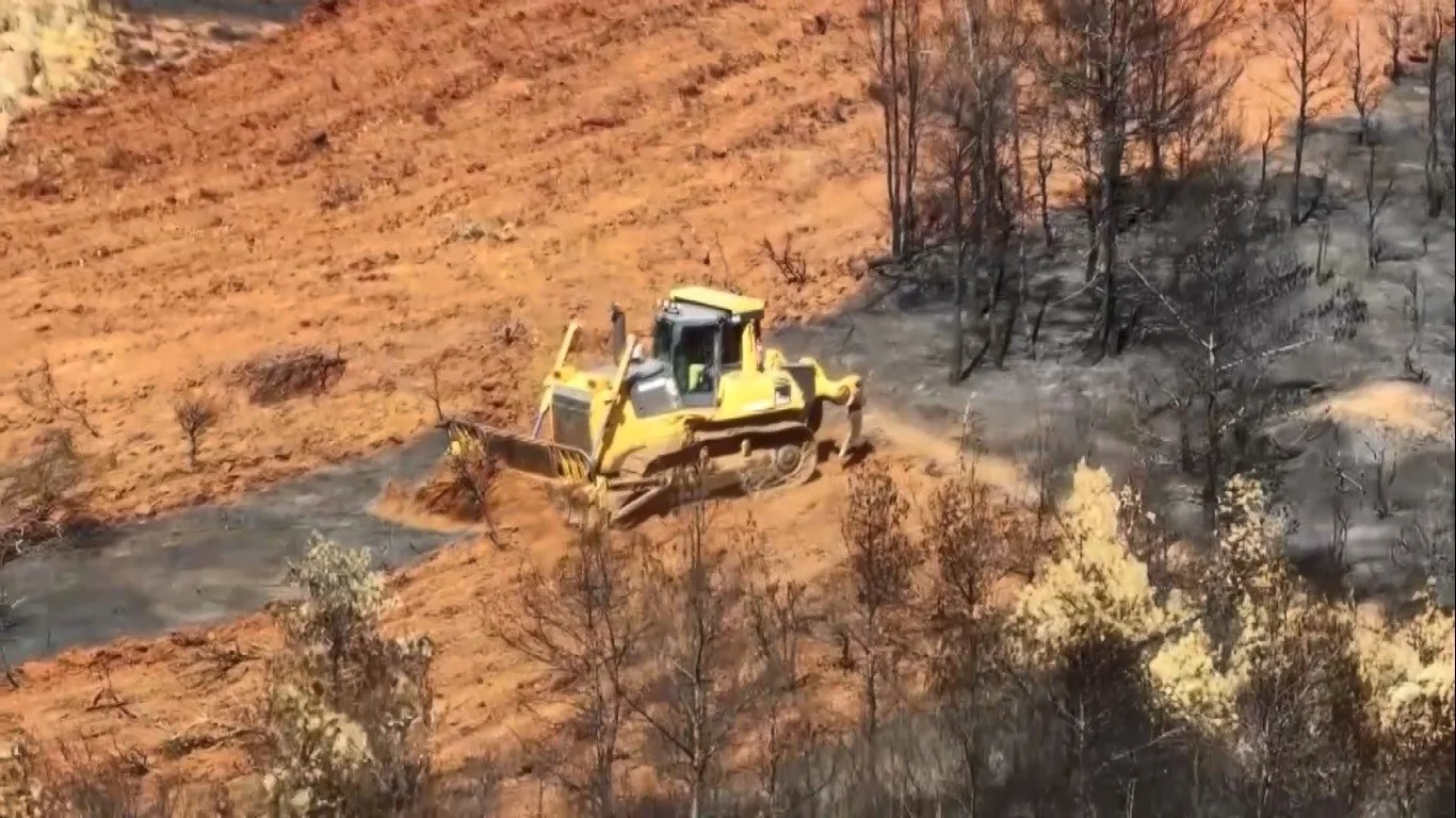 Muğla’nın Köyceğiz ilçesinde yaşanan yangın felaketinin ardından, ekipler bölgeyi yeniden